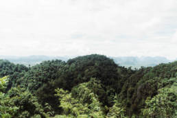 Tiger Mountain Temple